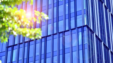 Şehir hayatı, şehir manzarası ve ekoloji. Modern ofis kompleksi cam cepheleri ve yeşil ağaç zeminine karşı düz çizgiler, modern mimari konsepti. Organik olarak doğaya doğru ilerliyor..