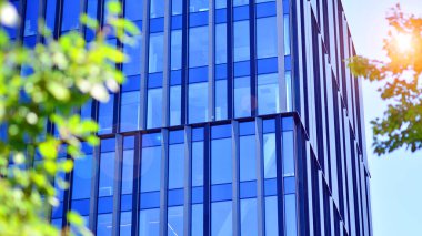 Şehir hayatı, şehir manzarası ve ekoloji. Modern ofis kompleksi cam cepheleri ve yeşil ağaç zeminine karşı düz çizgiler, modern mimari konsepti. Organik olarak doğaya doğru ilerliyor..