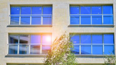 Yeşil bölgedeki yeni apartman blokları. Eko apartman binası enerji ve temiz hava tasarrufu sağlıyor. Yeşil ağaç ve yeni apartman. Doğanın ve modernliğin ahengi.