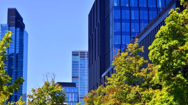 Şehir hayatı, şehir manzarası ve ekoloji. Modern ofis kompleksi cam cepheleri ve yeşil ağaç zeminine karşı düz çizgiler, modern mimari konsepti. Organik olarak doğaya doğru ilerliyor..