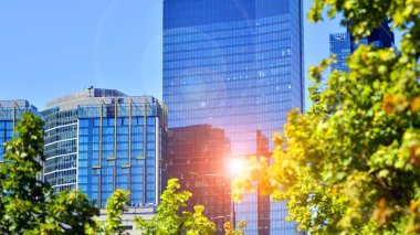 Şehir hayatı, şehir manzarası ve ekoloji. Modern ofis kompleksi cam cepheleri ve yeşil ağaç zeminine karşı düz çizgiler, modern mimari konsepti. Organik olarak doğaya doğru ilerliyor..