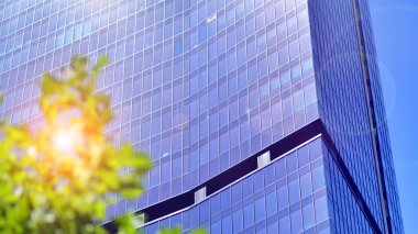 Şehir hayatı, şehir manzarası ve ekoloji. Modern ofis kompleksi cam cepheleri ve yeşil ağaç zeminine karşı düz çizgiler, modern mimari konsepti. Organik olarak doğaya doğru ilerliyor..