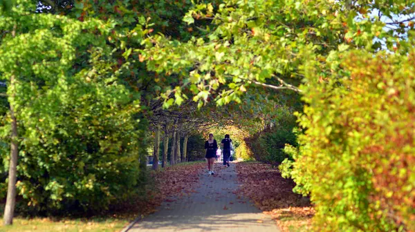 stock image Warsaw, Poland. 24 August 2024. Residents walking in the park in Ursynow