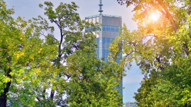 Gökdelenleri olan şehir merkezi. Şehir merkezindeki iş bölgesinde. Modern şehirde çevre dostu bir bina. Yeşil çevresi olan bir ofis. Şirket binası CO2 'yi düşürdü.