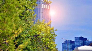 Gökdelenleri olan şehir merkezi. Şehir merkezindeki iş bölgesinde. Modern şehirde çevre dostu bir bina. Yeşil çevresi olan bir ofis. Şirket binası CO2 'yi düşürdü.