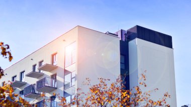 Yeşil yerleşim bölgesinde yeni daireleri olan modern bir yerleşim yeri. Çevre mimarisi. Sarı ağaç ve yeni apartman. Doğanın ve modernliğin ahengi.