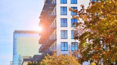 Yeşil yerleşim bölgesinde yeni daireleri olan modern bir yerleşim yeri. Çevre mimarisi. Sarı ağaç ve yeni apartman. Doğanın ve modernliğin ahengi.