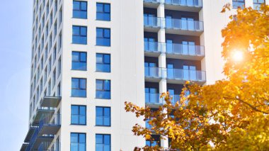 Yeşil yerleşim bölgesinde yeni daireleri olan modern bir yerleşim yeri. Çevre mimarisi. Sarı ağaç ve yeni apartman. Doğanın ve modernliğin ahengi.