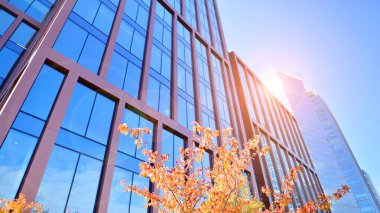 Arka planda mavi gökyüzü olan modern yüksek katlı ofis binalarına bakıyorum..