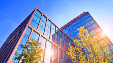 Karbondioksiti azaltmak için ağaçlı sürdürülebilir cam ofis binası. Modern şehirde çevre dostu bir bina. Sarı kadife çevresi olan ofisler. Şirket binası CO2 'yi düşürdü.