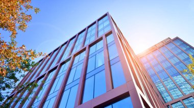 Karbondioksiti azaltmak için ağaçlı sürdürülebilir cam ofis binası. Modern şehirde çevre dostu bir bina. Sarı kadife çevresi olan ofisler. Şirket binası CO2 'yi düşürdü.