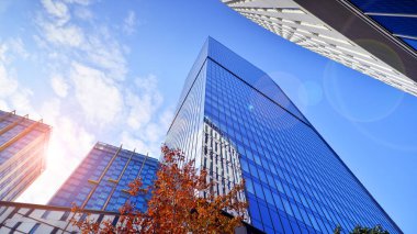 Arka planda mavi gökyüzü olan modern yüksek katlı ofis binalarına bakıyorum..