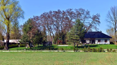 Tek bir aile evi olan banliyö manzarası
