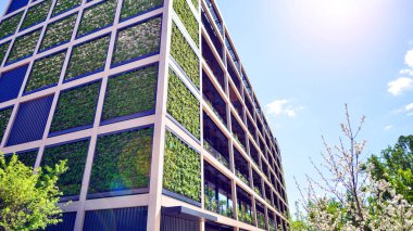 Ağaçlı modern şehir ekonomi bürosu binası. Modern mimari cephesinin detaylı görüntüleri, iş kavramları. Çevre. Modern bina ve ağaçlar, çift pozlama.