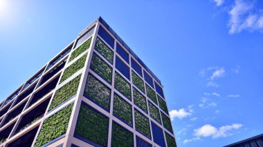 Ön cephesinde bitkiler olan yeşil ofis binası. Ekoloji ve yeşil yaşam şehirde, kentsel çevre kavramı. Çevre mimarisi. 