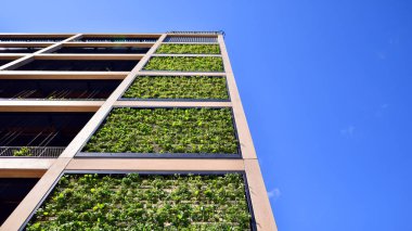 Ön cephesinde bitkiler olan yeşil ofis binası. Ekoloji ve yeşil yaşam şehirde, kentsel çevre kavramı. Çevre mimarisi. 