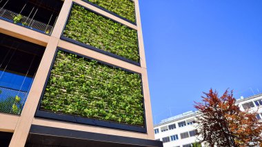 Ağaçlı modern şehir ekonomi bürosu binası. Modern mimari cephesinin detaylı görüntüleri, iş kavramları. Çevre. Modern bina ve ağaçlar, çift pozlama.