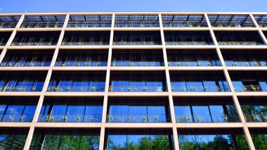 Ön cephesinde bitkiler olan yeşil ofis binası. Ekoloji ve yeşil yaşam şehirde, kentsel çevre kavramı. Çevre mimarisi. 