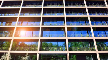 Ön cephesinde bitkiler olan yeşil ofis binası. Ekoloji ve yeşil yaşam şehirde, kentsel çevre kavramı. Çevre mimarisi. 