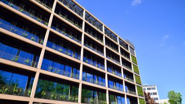 Ön cephesinde bitkiler olan yeşil ofis binası. Ekoloji ve yeşil yaşam şehirde, kentsel çevre kavramı. Çevre mimarisi. 