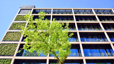 Ağaçlı modern şehir ekonomi bürosu binası. Modern mimari cephesinin detaylı görüntüleri, iş kavramları. Çevre. Modern bina ve ağaçlar, çift pozlama.