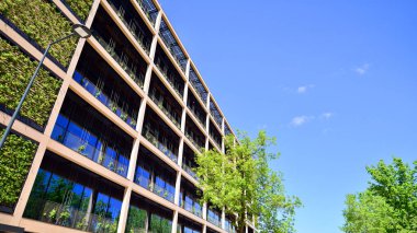 Ağaçlı modern şehir ekonomi bürosu binası. Modern mimari cephesinin detaylı görüntüleri, iş kavramları. Çevre. Modern bina ve ağaçlar, çift pozlama.