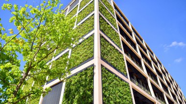 Ağaçlı modern şehir ekonomi bürosu binası. Modern mimari cephesinin detaylı görüntüleri, iş kavramları. Çevre. Modern bina ve ağaçlar, çift pozlama.