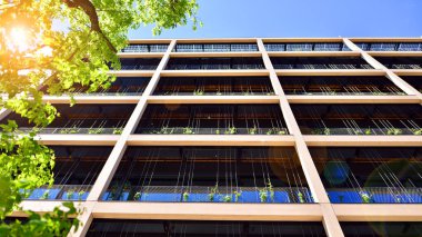 Ağaçlı modern şehir ekonomi bürosu binası. Modern mimari cephesinin detaylı görüntüleri, iş kavramları. Çevre. Modern bina ve ağaçlar, çift pozlama.