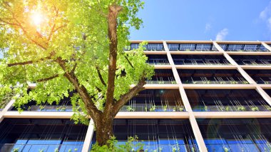 Ağaçlı modern şehir ekonomi bürosu binası. Modern mimari cephesinin detaylı görüntüleri, iş kavramları. Çevre. Modern bina ve ağaçlar, çift pozlama.