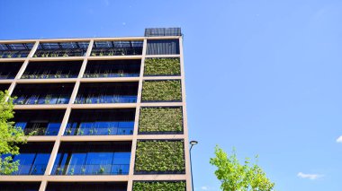 Ağaçlı modern şehir ekonomi bürosu binası. Modern mimari cephesinin detaylı görüntüleri, iş kavramları. Çevre. Modern bina ve ağaçlar, çift pozlama.