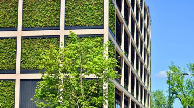 Ağaçlı modern şehir ekonomi bürosu binası. Modern mimari cephesinin detaylı görüntüleri, iş kavramları. Çevre. Modern bina ve ağaçlar, çift pozlama.