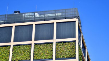 Ön cephesinde bitkiler olan yeşil ofis binası. Ekoloji ve yeşil yaşam şehirde, kentsel çevre kavramı. Çevre mimarisi. 