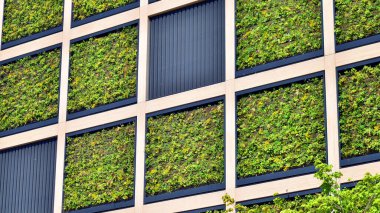 Ön cephesinde bitkiler olan yeşil ofis binası. Ekoloji ve yeşil yaşam şehirde, kentsel çevre kavramı. Çevre mimarisi. 