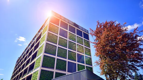 Ağaçlı modern şehir ekonomi bürosu binası. Modern mimari cephesinin detaylı görüntüleri, iş kavramları. Çevre. Modern bina ve ağaçlar, çift pozlama.