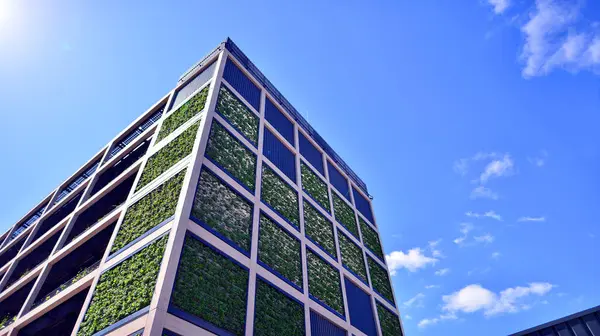 Ön cephesinde bitkiler olan yeşil ofis binası. Ekoloji ve yeşil yaşam şehirde, kentsel çevre kavramı. Çevre mimarisi. 