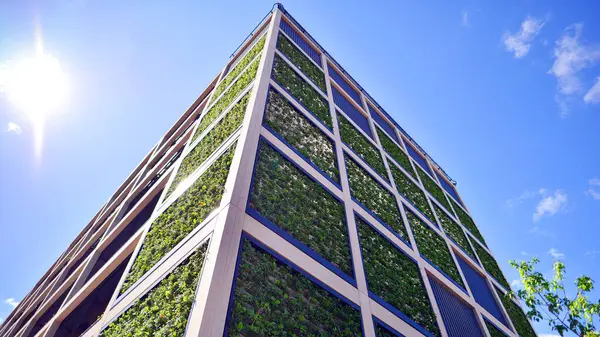 Ön cephesinde bitkiler olan yeşil ofis binası. Ekoloji ve yeşil yaşam şehirde, kentsel çevre kavramı. Çevre mimarisi. 