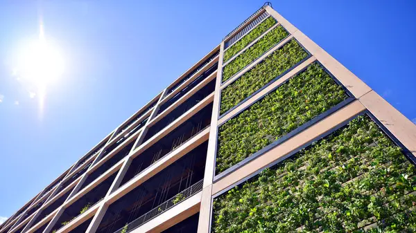 Ön cephesinde bitkiler olan yeşil ofis binası. Ekoloji ve yeşil yaşam şehirde, kentsel çevre kavramı. Çevre mimarisi. 