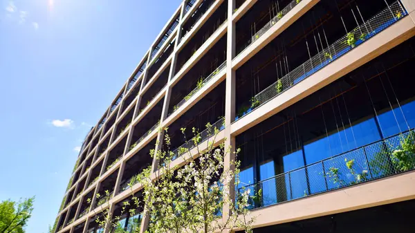 Ağaçlı modern şehir ekonomi bürosu binası. Modern mimari cephesinin detaylı görüntüleri, iş kavramları. Çevre. Modern bina ve ağaçlar, çift pozlama.