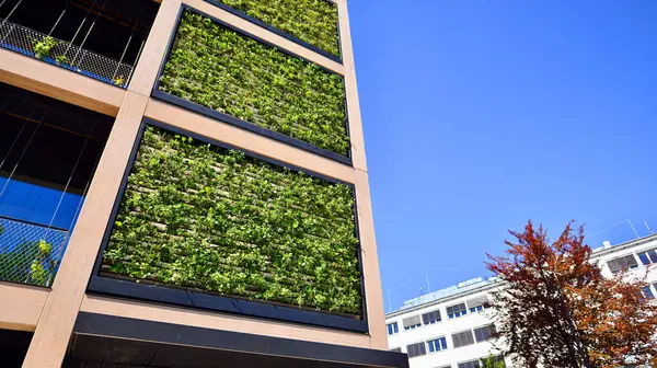 Ağaçlı modern şehir ekonomi bürosu binası. Modern mimari cephesinin detaylı görüntüleri, iş kavramları. Çevre. Modern bina ve ağaçlar, çift pozlama.
