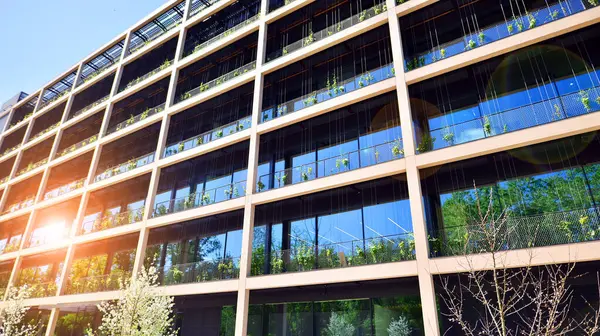 Ağaçlı modern şehir ekonomi bürosu binası. Modern mimari cephesinin detaylı görüntüleri, iş kavramları. Çevre. Modern bina ve ağaçlar, çift pozlama.