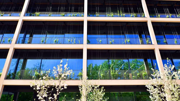 Ağaçlı modern şehir ekonomi bürosu binası. Modern mimari cephesinin detaylı görüntüleri, iş kavramları. Çevre. Modern bina ve ağaçlar, çift pozlama.