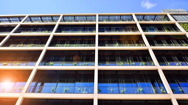 Ön cephesinde bitkiler olan yeşil ofis binası. Ekoloji ve yeşil yaşam şehirde, kentsel çevre kavramı. Çevre mimarisi. 