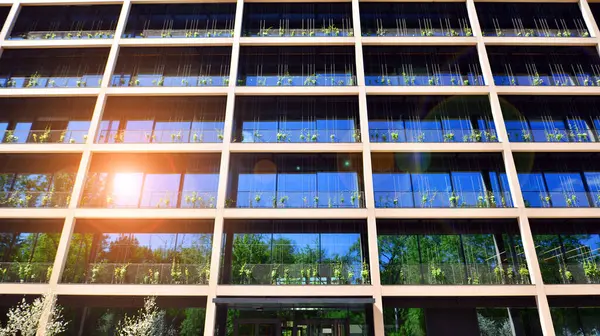 Ön cephesinde bitkiler olan yeşil ofis binası. Ekoloji ve yeşil yaşam şehirde, kentsel çevre kavramı. Çevre mimarisi. 