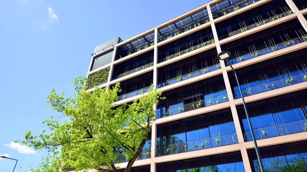 Ağaçlı modern şehir ekonomi bürosu binası. Modern mimari cephesinin detaylı görüntüleri, iş kavramları. Çevre. Modern bina ve ağaçlar, çift pozlama.