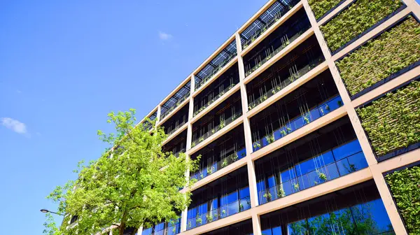 Ağaçlı modern şehir ekonomi bürosu binası. Modern mimari cephesinin detaylı görüntüleri, iş kavramları. Çevre. Modern bina ve ağaçlar, çift pozlama.