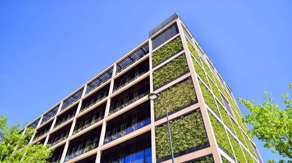 Ağaçlı modern şehir ekonomi bürosu binası. Modern mimari cephesinin detaylı görüntüleri, iş kavramları. Çevre. Modern bina ve ağaçlar, çift pozlama.