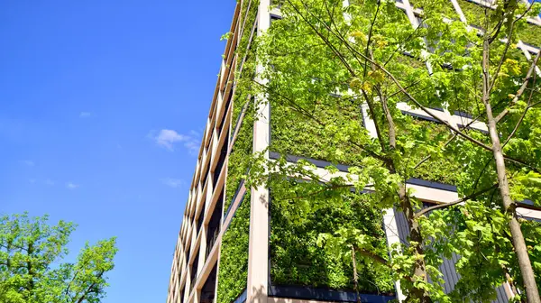 Ağaçlı modern şehir ekonomi bürosu binası. Modern mimari cephesinin detaylı görüntüleri, iş kavramları. Çevre. Modern bina ve ağaçlar, çift pozlama.