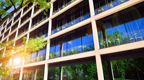 Ağaçlı modern şehir ekonomi bürosu binası. Modern mimari cephesinin detaylı görüntüleri, iş kavramları. Çevre. Modern bina ve ağaçlar, çift pozlama.