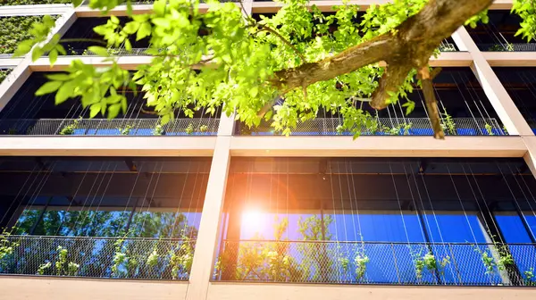 Ağaçlı modern şehir ekonomi bürosu binası. Modern mimari cephesinin detaylı görüntüleri, iş kavramları. Çevre. Modern bina ve ağaçlar, çift pozlama.