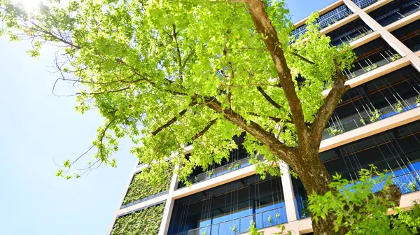 Ağaçlı modern şehir ekonomi bürosu binası. Modern mimari cephesinin detaylı görüntüleri, iş kavramları. Çevre. Modern bina ve ağaçlar, çift pozlama.